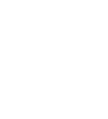 The Audacious Adventure